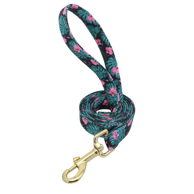 Personalized Engraved Dog Collar With Leash