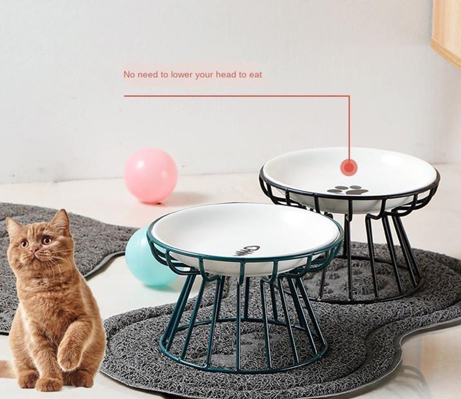 🥣Whisker-Friendly Anti-Vomit Cat Plate📦Buy 2 FREE SHIPPING