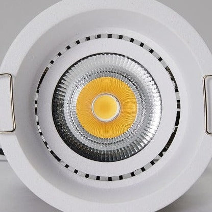 Trimless Downlight