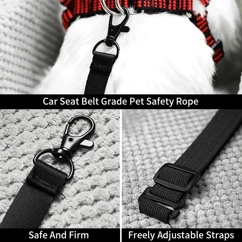 Safe Puppy Car Seat