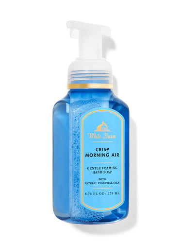 Bath & Body Works Crisp Morning Air Gentle Foaming Hand Soap 259 ml