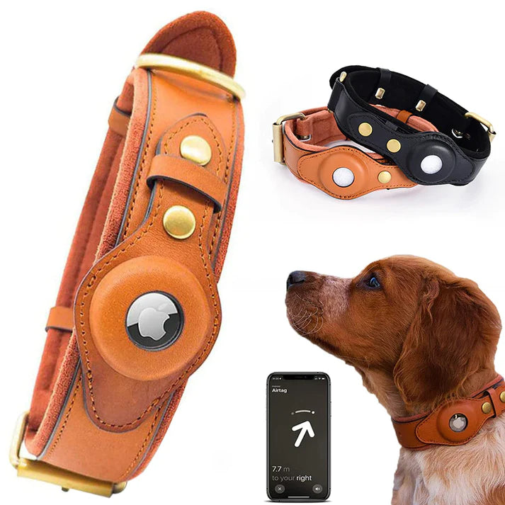 Leather AirTag Dog Collar