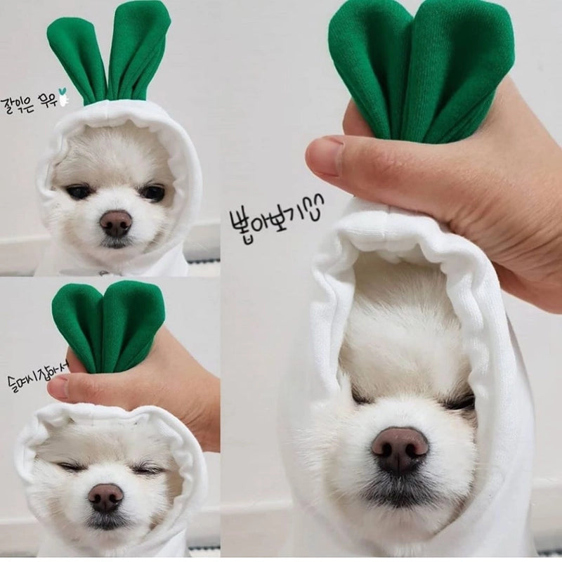 Puppy Dog Autumn And Winter Small And Medium-sized Dog Love Two-legged Cat Cute Pet Clothes Supplies