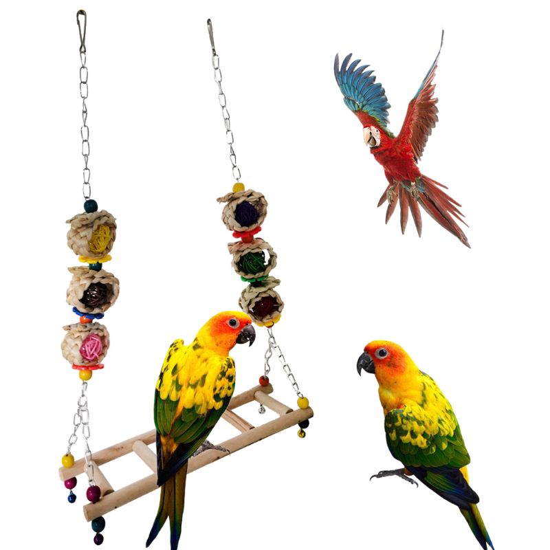 Parrot Swing Perch Ladder