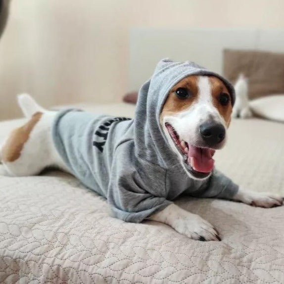 Security Printed Dog Cat Hoodies