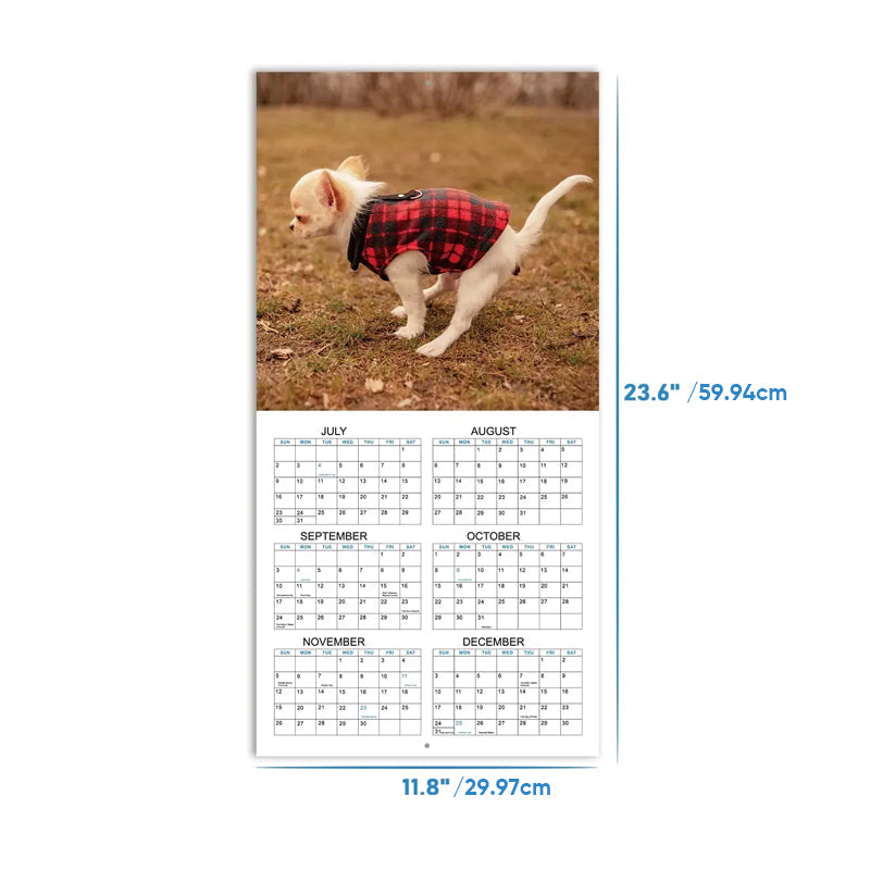 The funniest calendar of this century | The artistic expression of furry friends