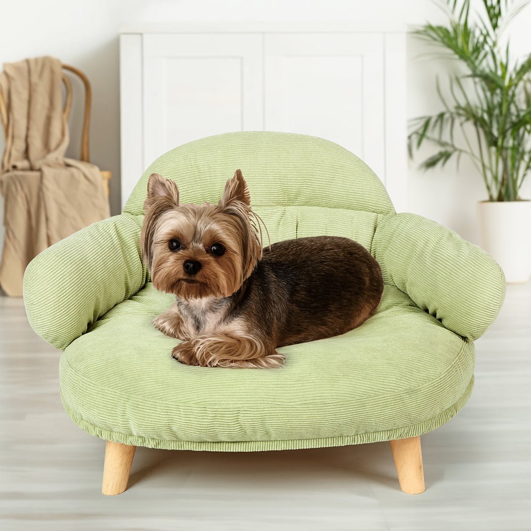 Plush Elevated Pet Sofa Bed - Green