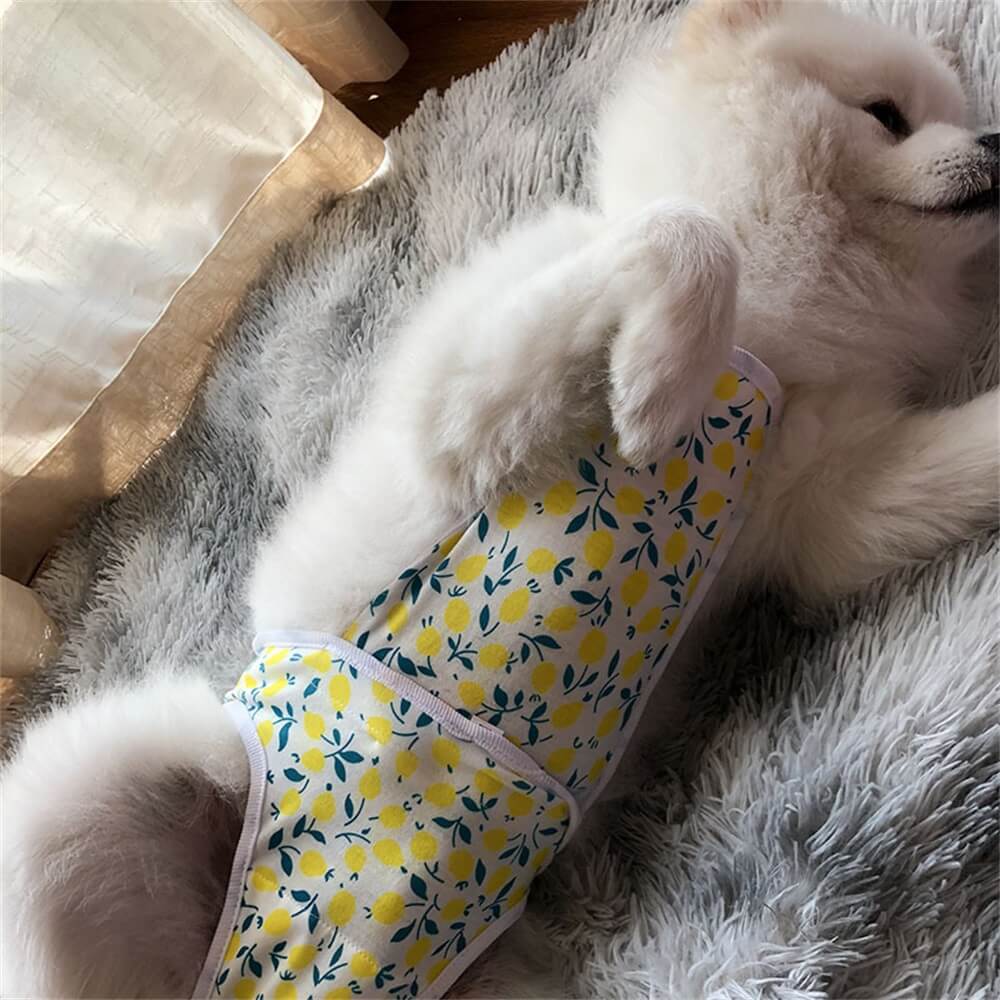 Pet Menstrual Pants. Washable Female Dog Diapers. Protective Belly Bands for Pet Clothes