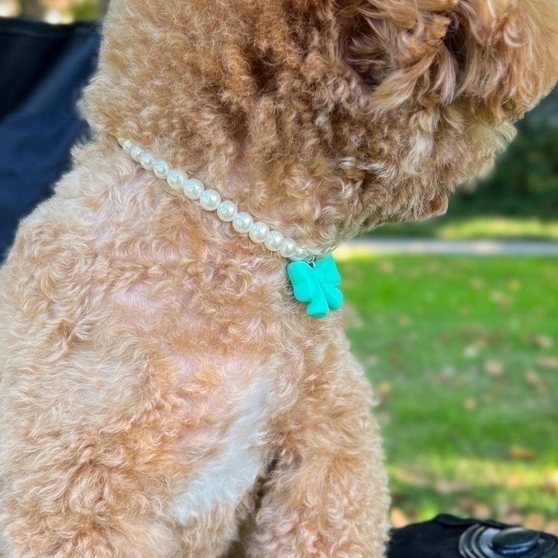 Ig Style Cute Imitation Pearl Plastic Bow Knot Beaded Pet Collar