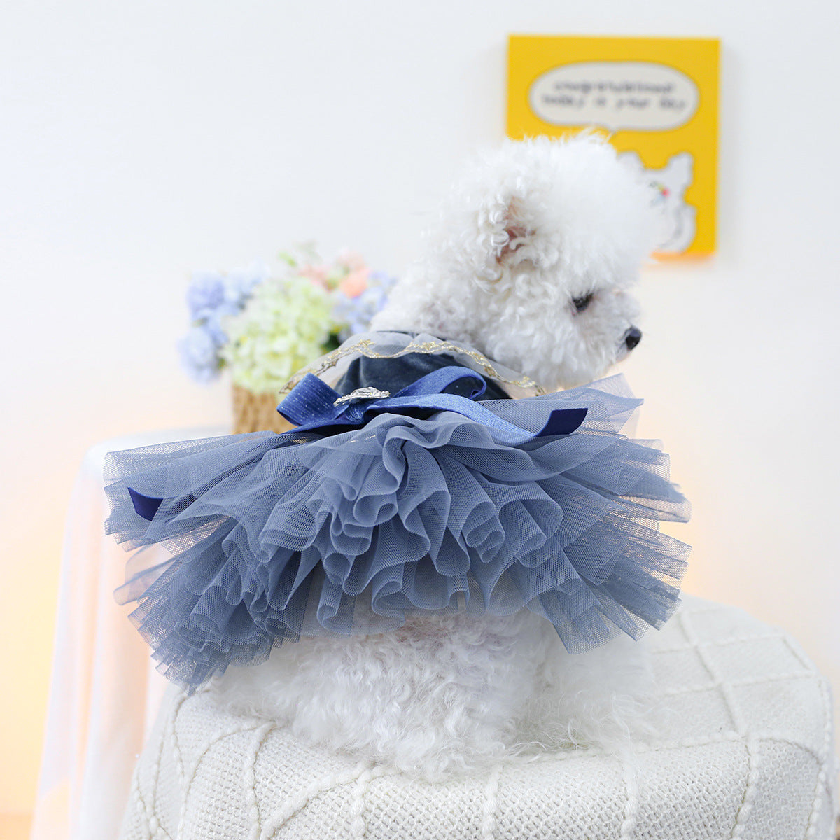 Crown Star Lace Dog Cat Princess Dress