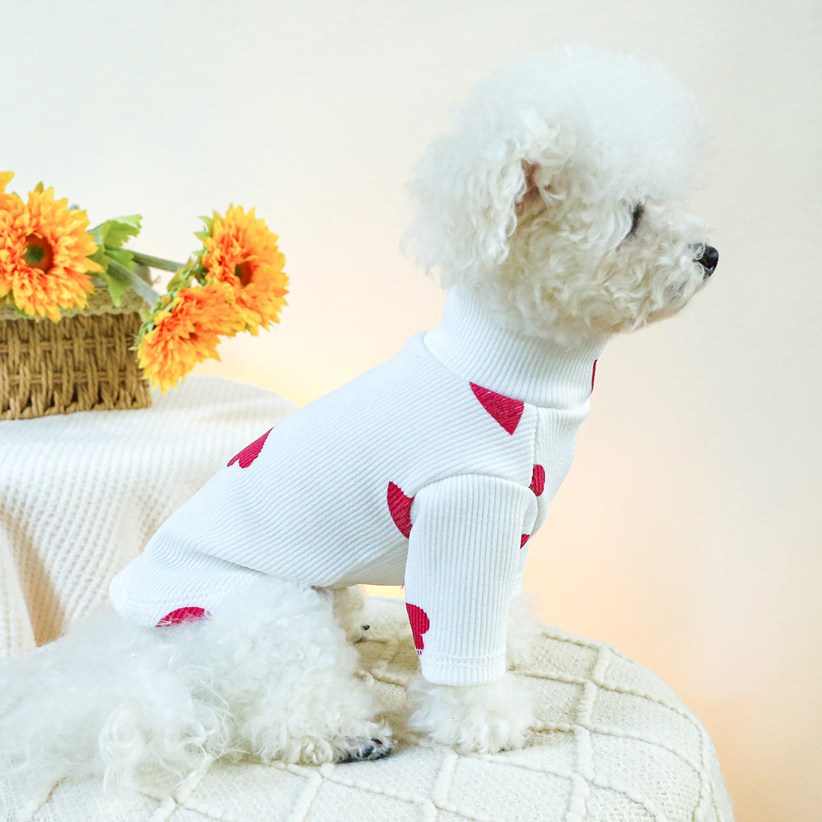 Warm Heart Printed Dog Cat Shirt