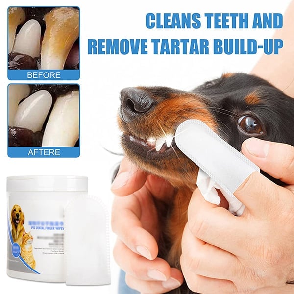 ✨Pet Dental Cleaning finger Wipes