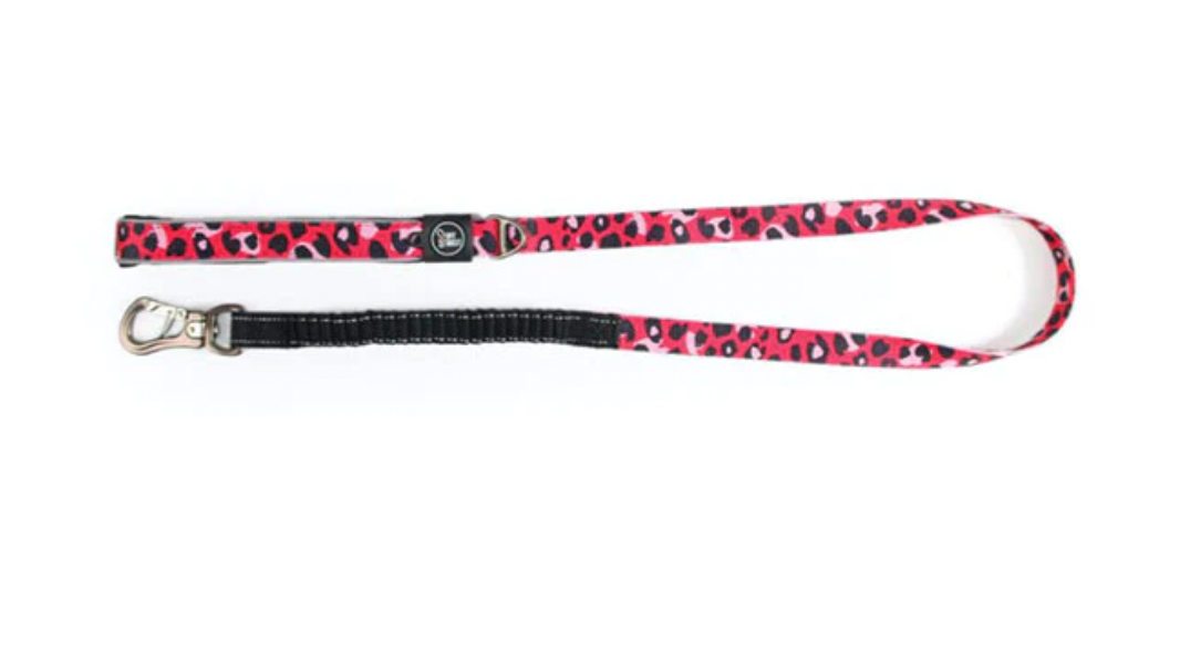 Eco Bionic Reflective Bungee Dog Leads