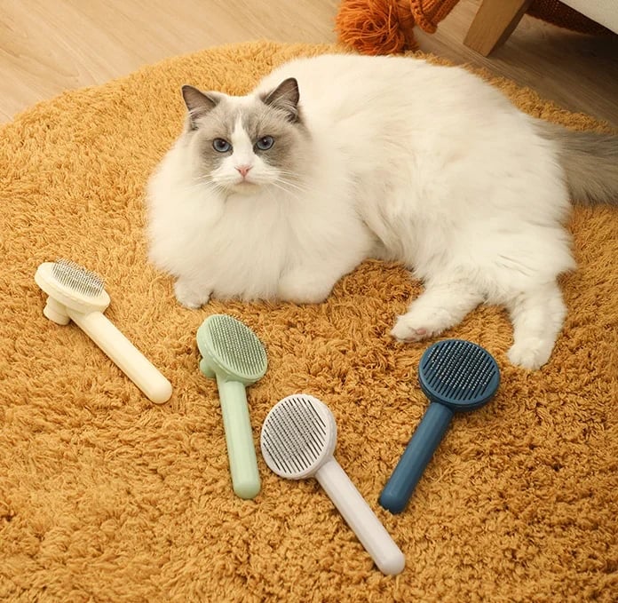 Identityt™ Self-Cleaning Grooming Brush🔥Hot Sale🔥