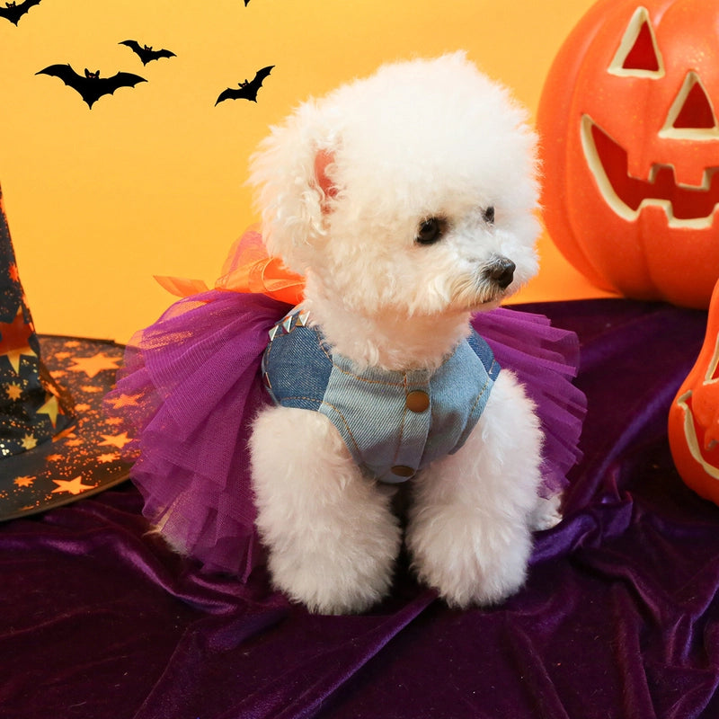 Casual Polyester Halloween Color Block Pet Clothing