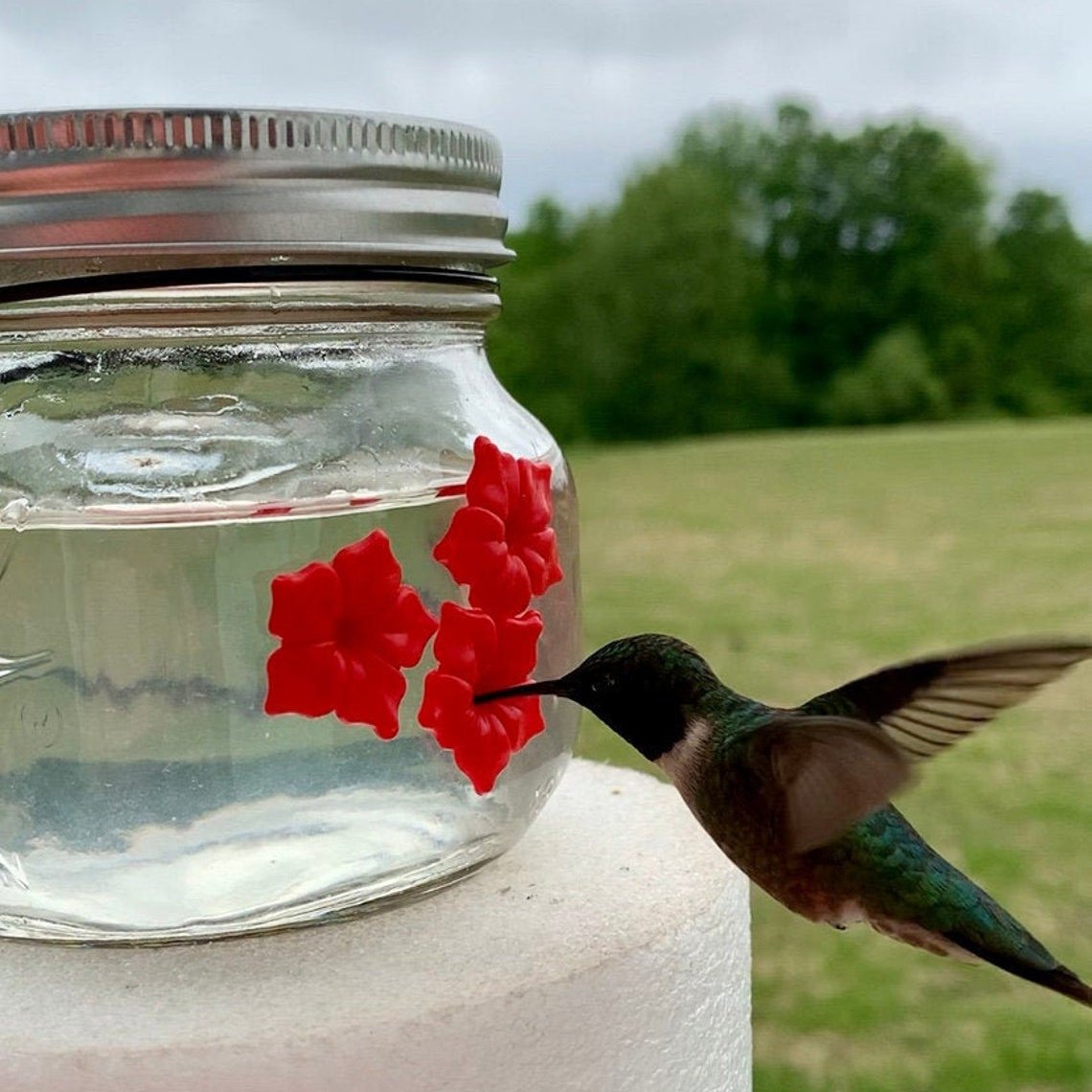 (🔥HOT SALE NOW- 49% OFF🔥) Beautiful Mason Jar Hummingbird Feeder W/ Three Ports 🔥 BUY 2 GET 1 FREE