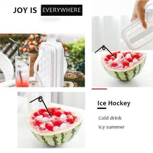 2-in-1 Keep Cold Portable Ice Container