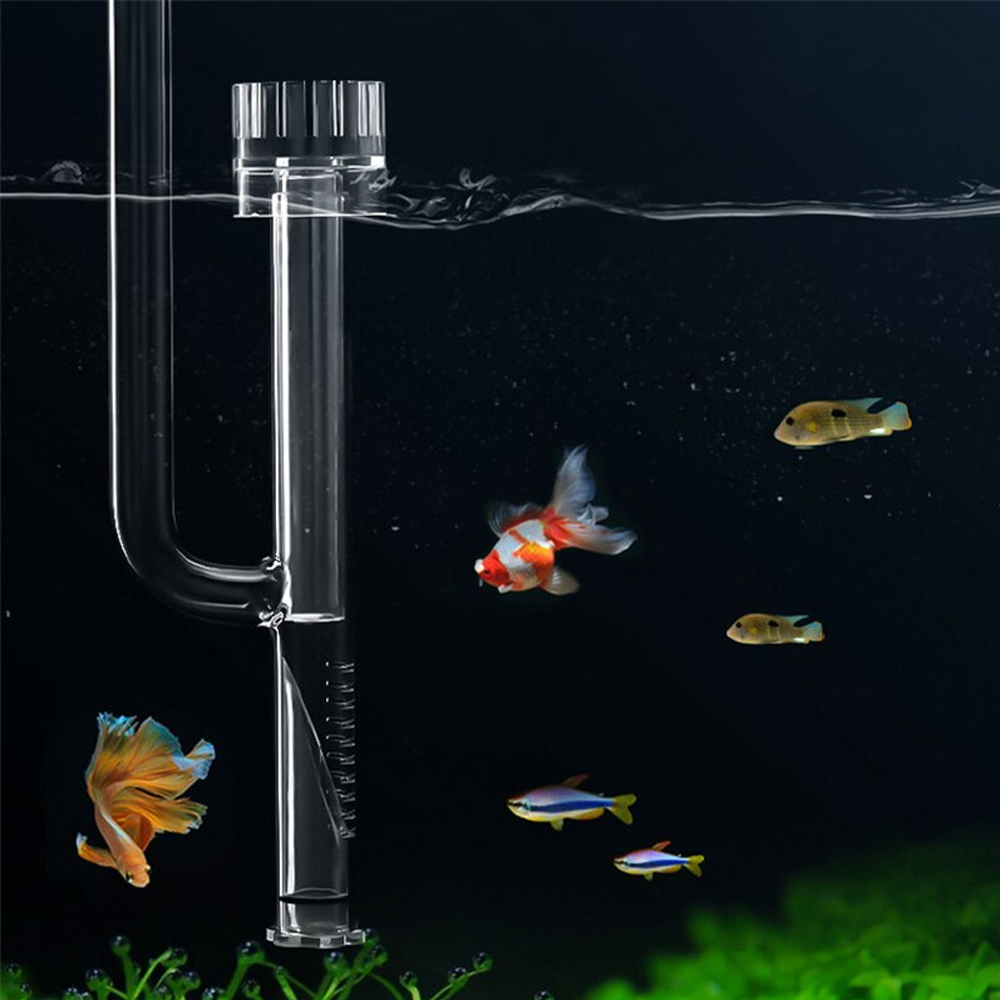 Glass Pipe Inflow Outflow For Aquarium