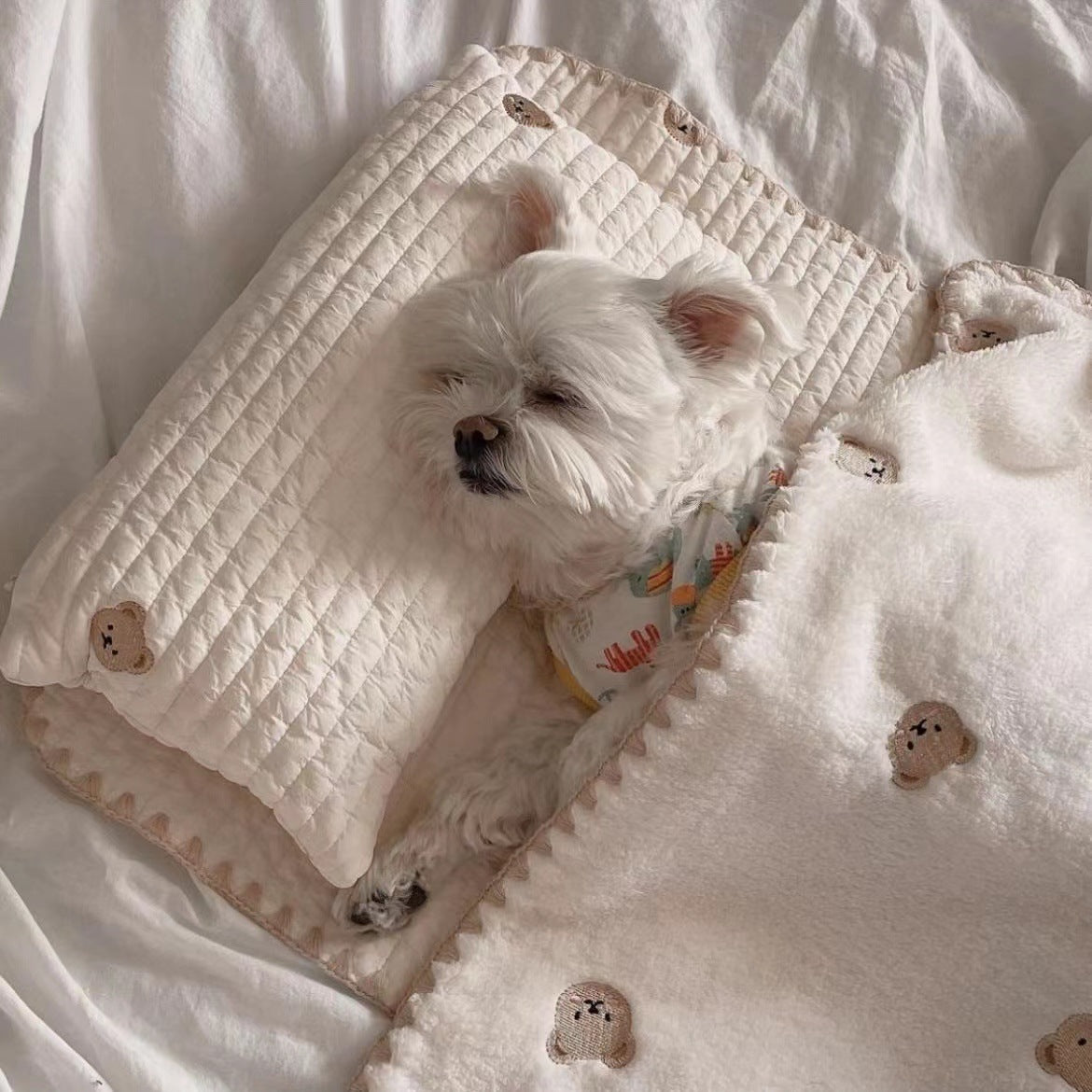 Fashion Square Dog & Cat Bed - Removable & Washable 3-Piece Set