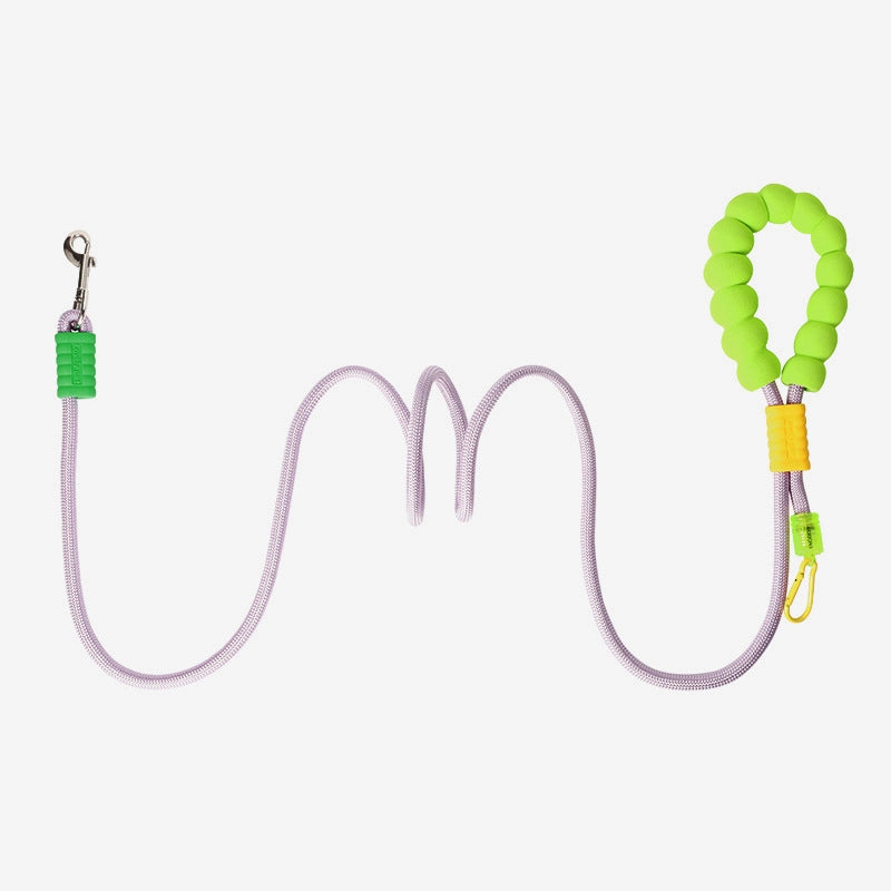 Minimalist Nylon Color Block Leash