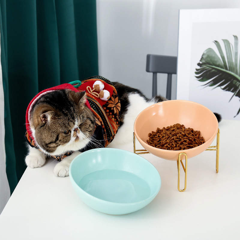 Bronze Stand Ceramic Bowl in Peach