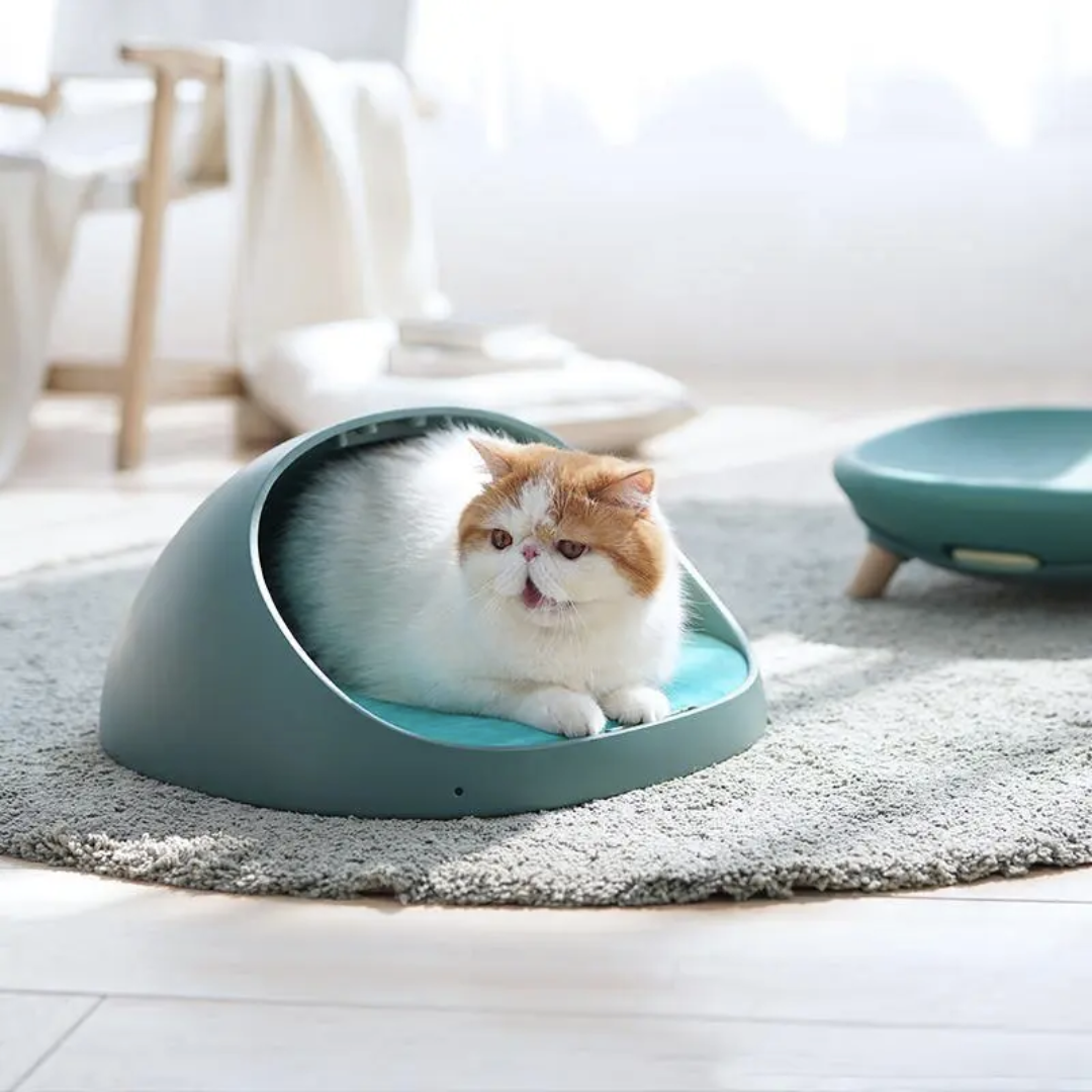 4-in-1 Convertible Bed｜Makesure Pet Bed｜Cat Bed Dog Bed