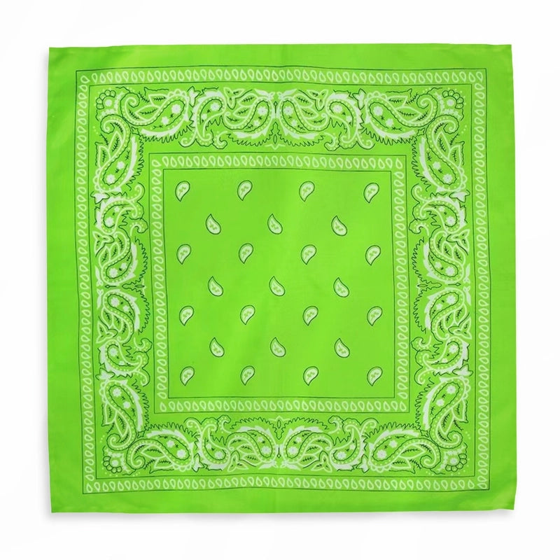 Supply Spot Batch Of Polyester 21g Cashew Flower Scarf Paisley Hip-hop Hip-hop Outdoor Polyester