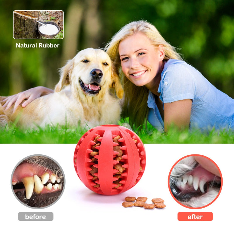 Pet Dog Tooth Cleaning Indestructible Ball