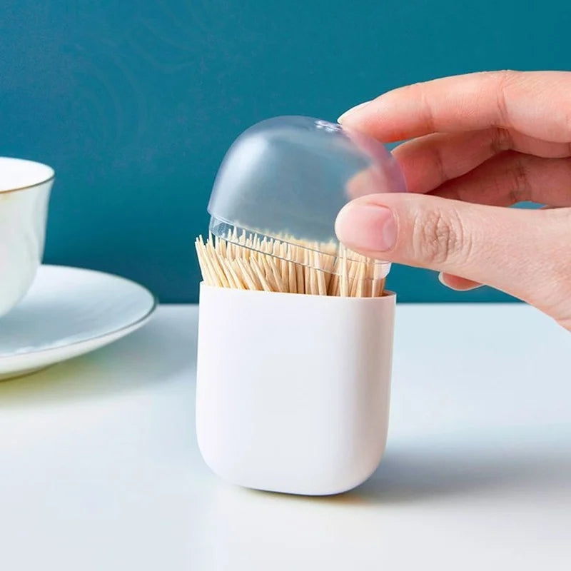 MAGNETIC TOOTHPICK HOLDER