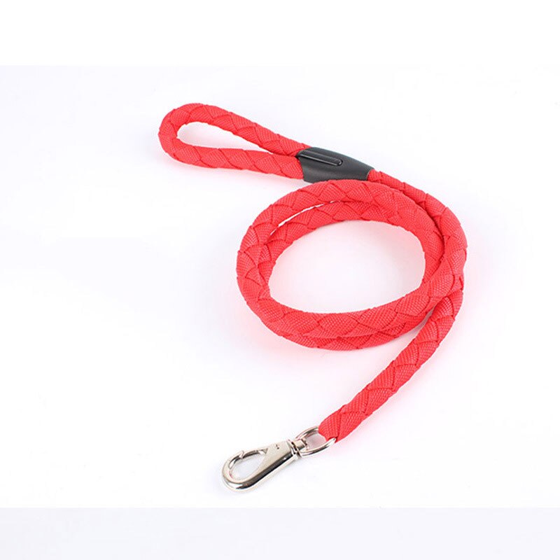 Durable Nylon Dog Leash