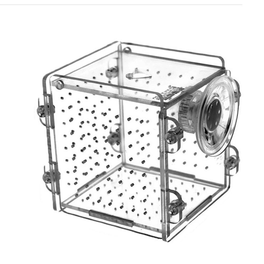Aquarium Acrylic Fish Bowls Tank