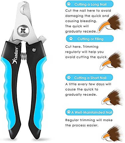 Candure Dog Nail Clippers Professional Pet Nail Clipper Suitable for Large to Medium Dogs. Cats. Rabbits and Guinea Pigs - Safety Lock/Protective Guard to Avoid Over Cutting