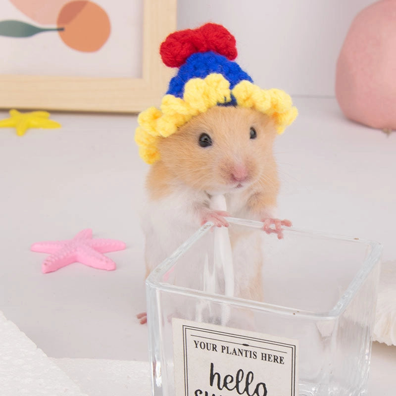 Hamster Hat Parrot Hair Band Photo Small Animal Headdress Handmade Frog Hat Ornaments Hedgehog Headgear Explosions