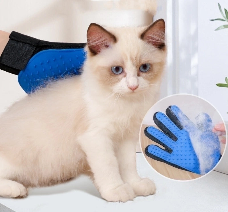 Minimalist Rubber Color Block Pet Gloves