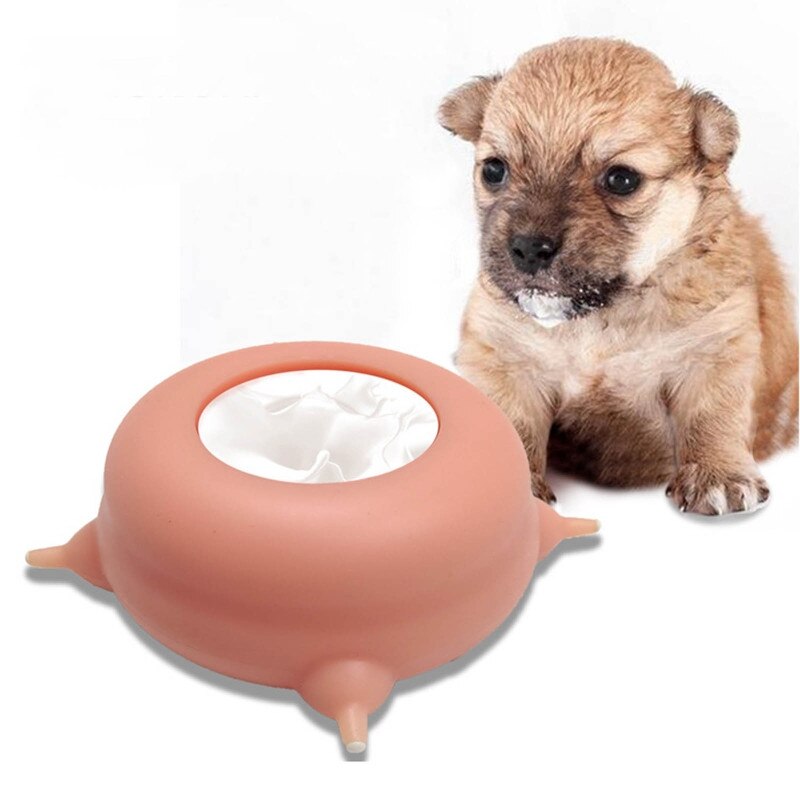 Cat Feeding Bowl