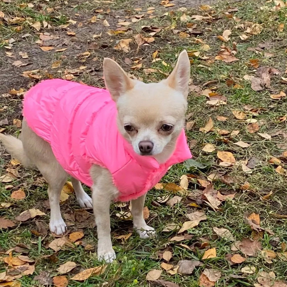 Cotton Padded Puppy Vest Jacket