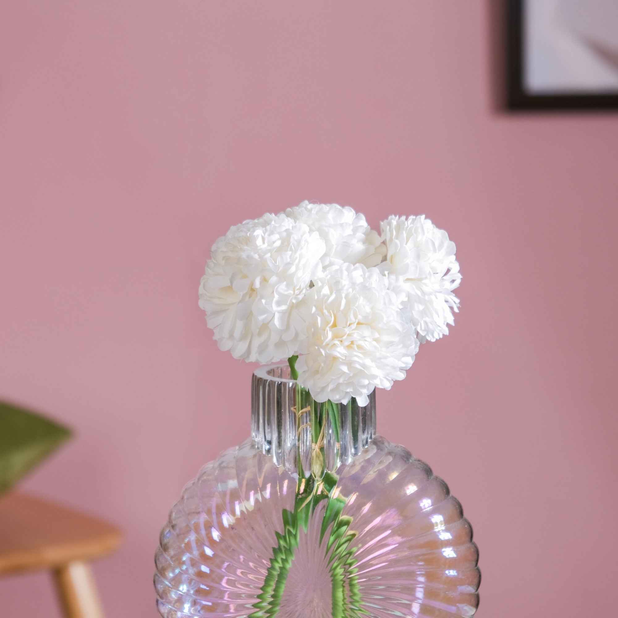 Chrysanthemum White