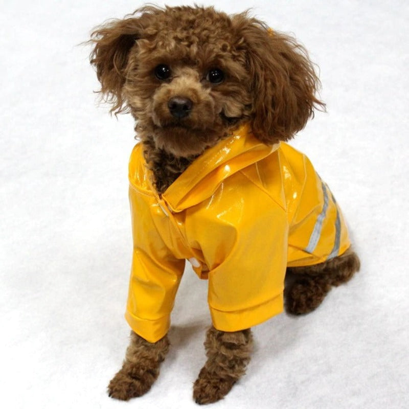 Waterproof Raincoat For Dogs
