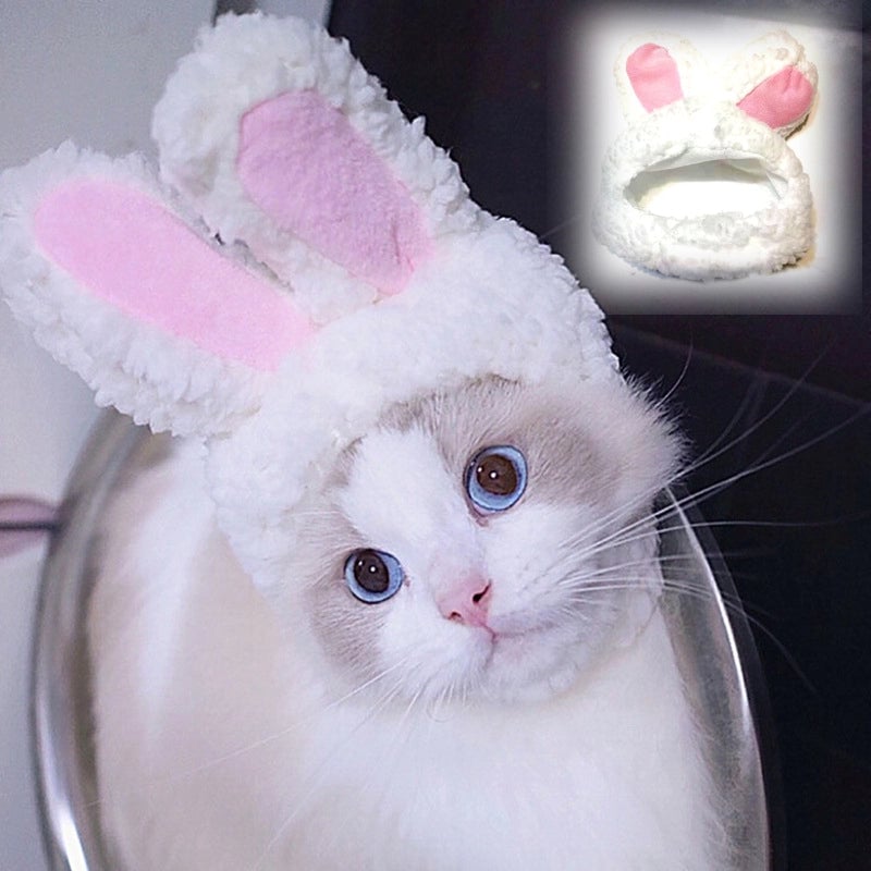Cat Headgear Cute Rabbit Cross Dress Hat Cat Headwear Easter Rabbit Ears Pet Hat Rabbit Ears