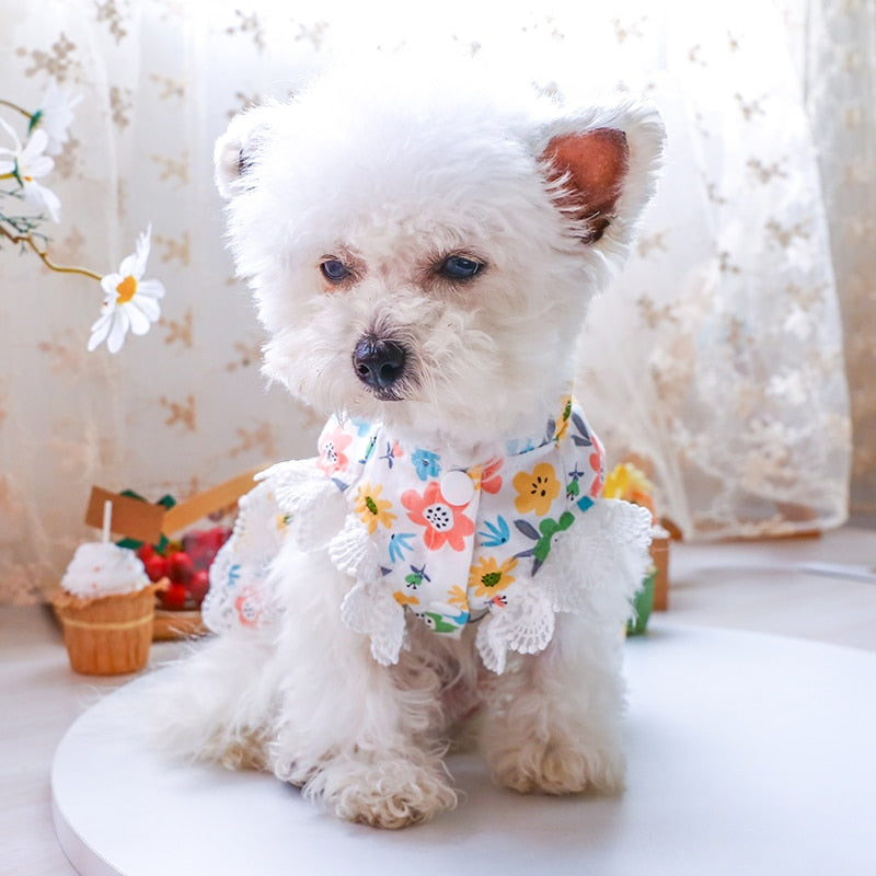 Floral Lace Design Dog Cat Dress