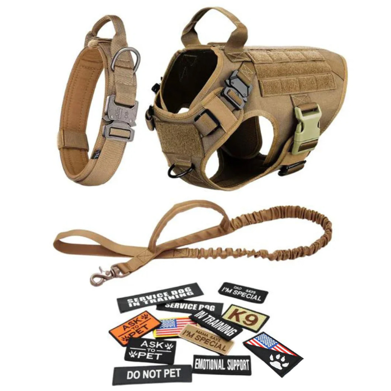 Dog Harness With D Rings