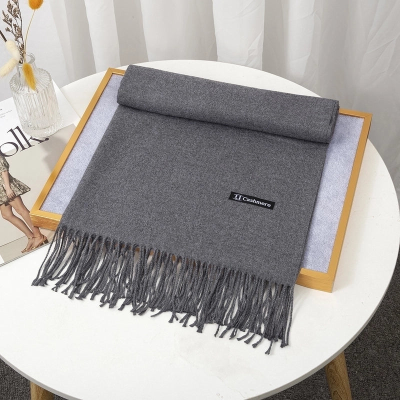 Women's Minimalist Solid Color Imitation Cashmere Tassel Scarf