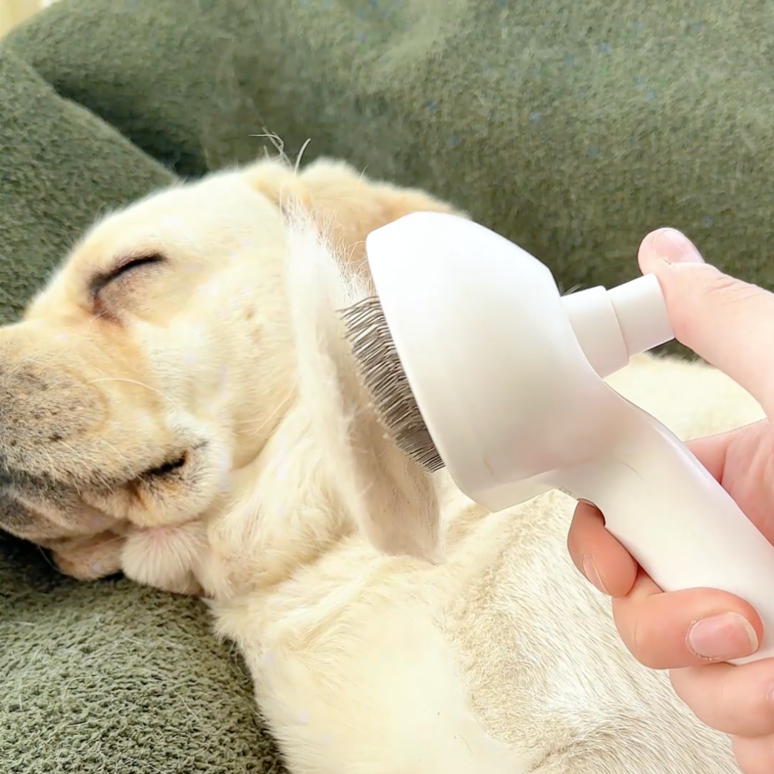 3 in 1 Viral Steam Brush