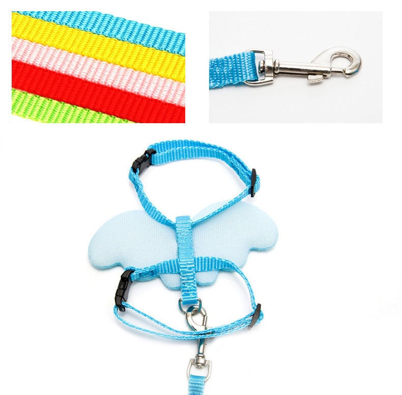 Angel Wing Dog Harness With Leash