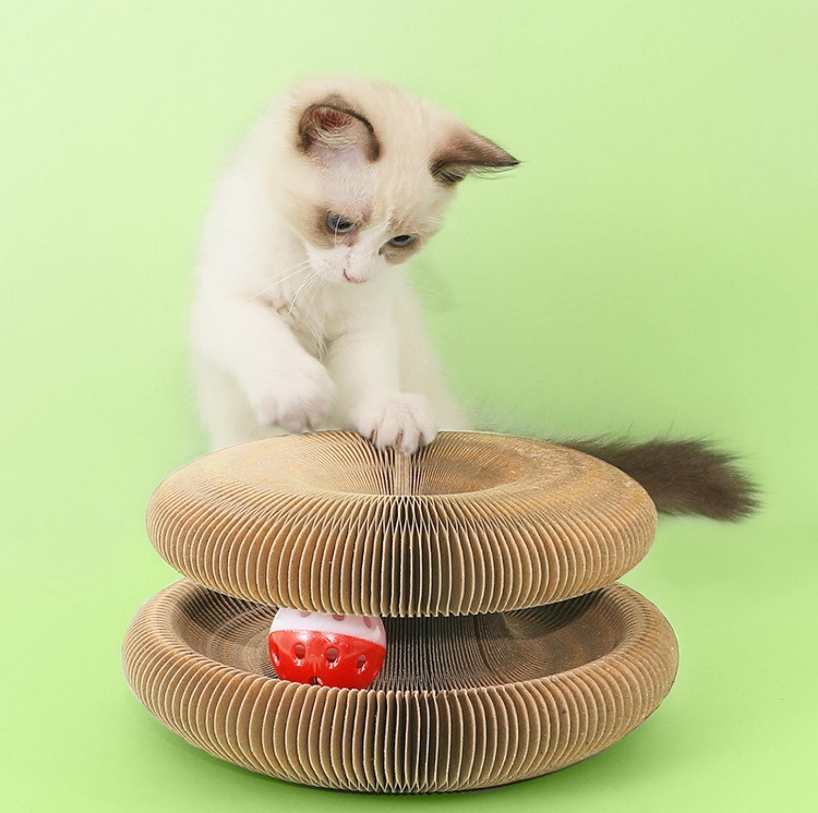 Magic Organ Cat Scratcher | Transformable Toy with Ball