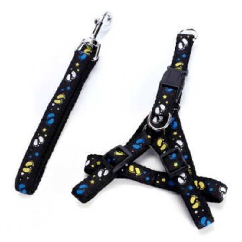 Stylish Dog Harness And Leash Set