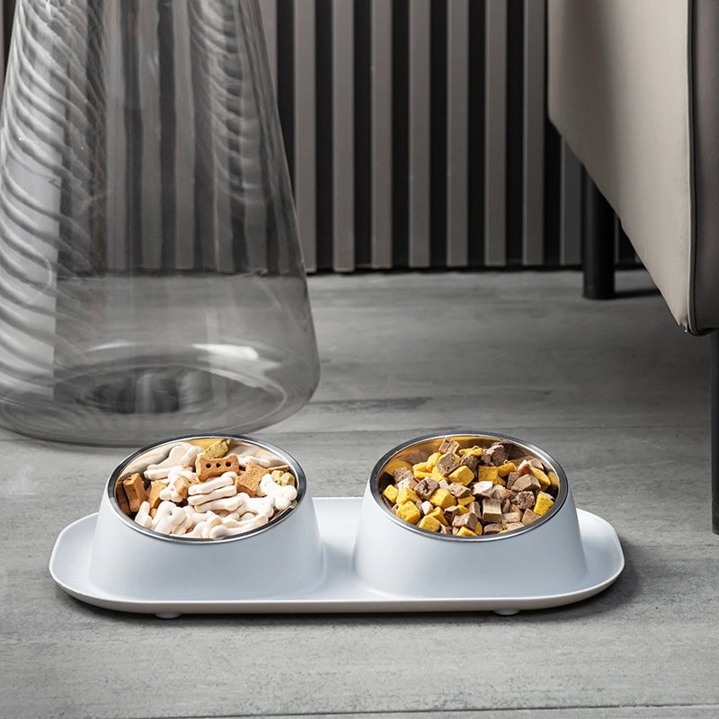 Minimalist Classic Style PP Stainless Steel Solid Color Pet Tableware