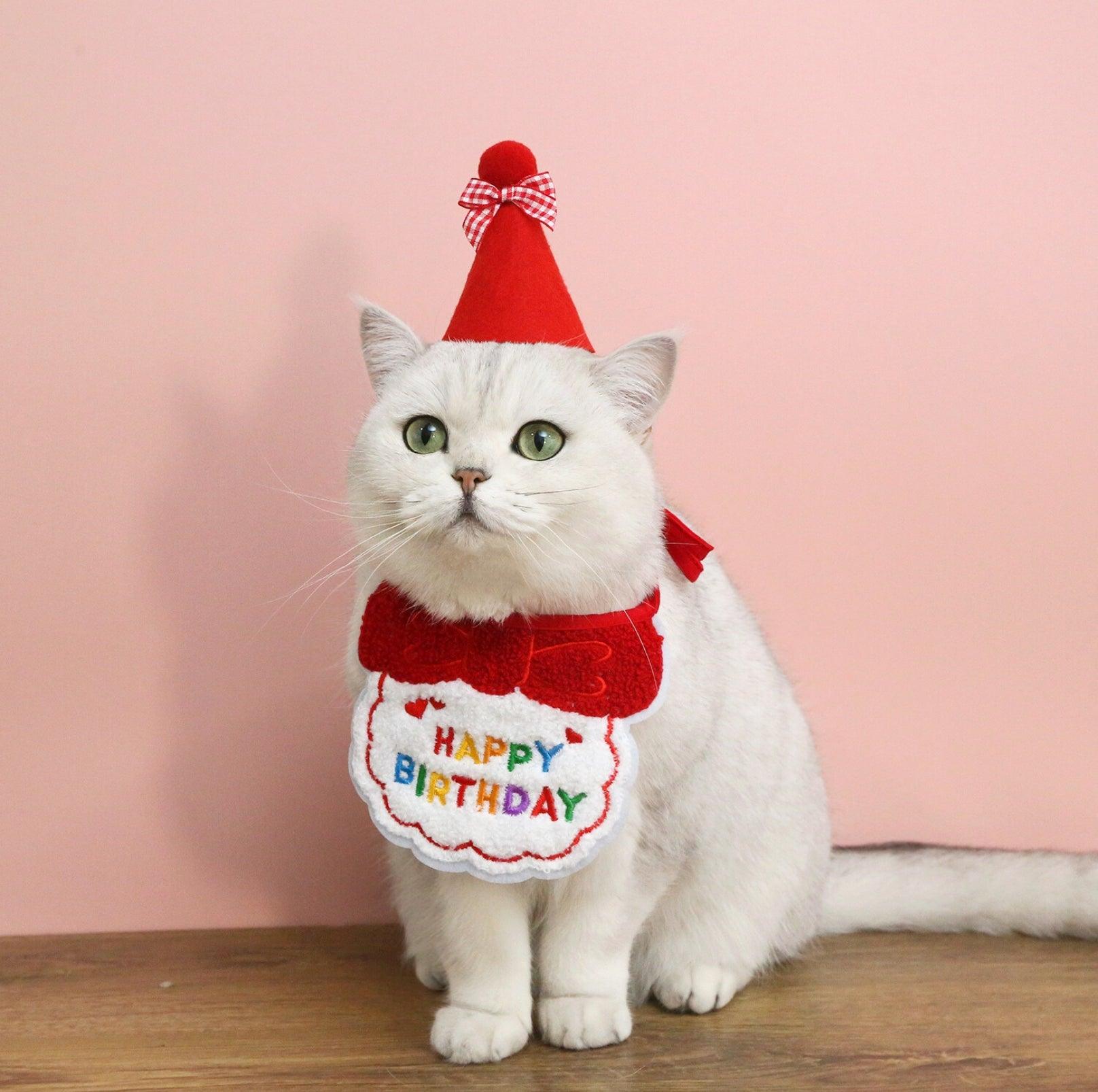 Pet Birthday Ensemble - Embroidered Hat & Bib Accessory Pack