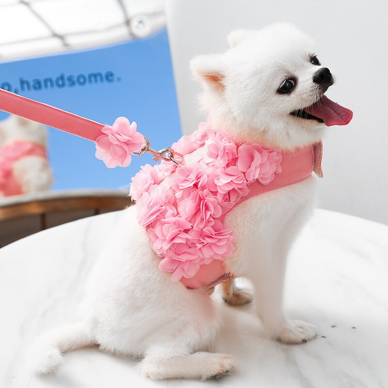 Floral Dog Harness And Leash Set