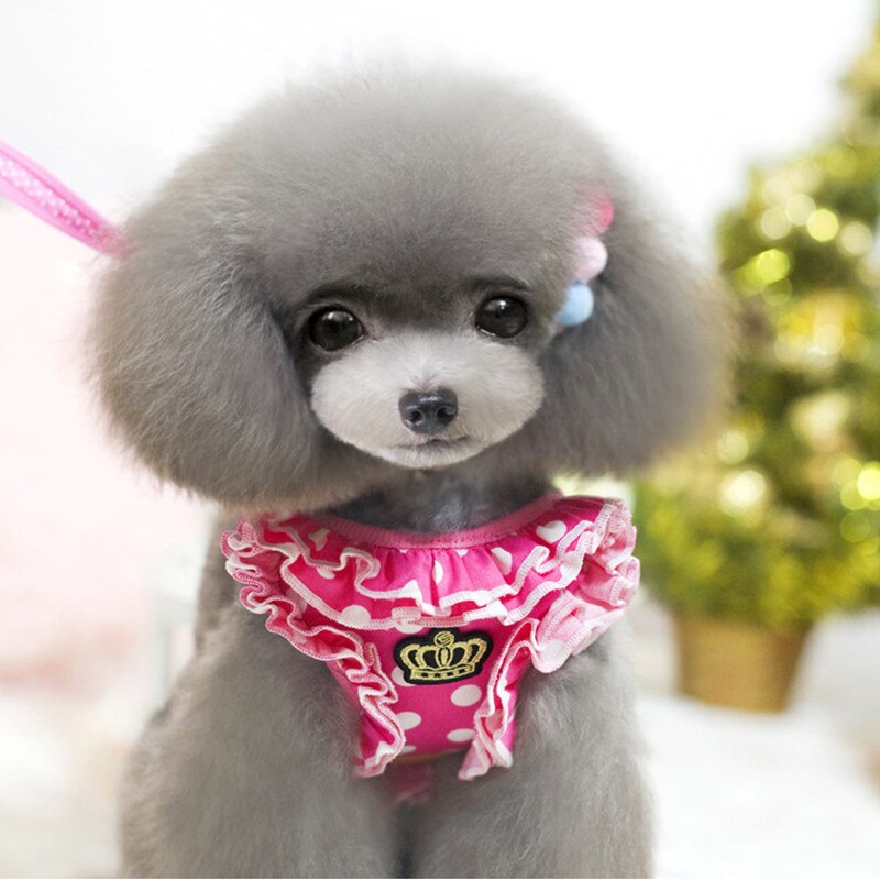 Small Pet Dog Collar